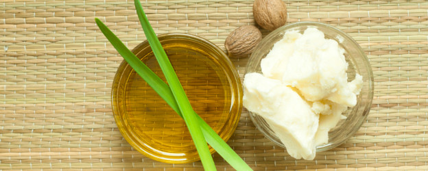Shea Butter - Key Ingredient in Moisturizing Conditioner