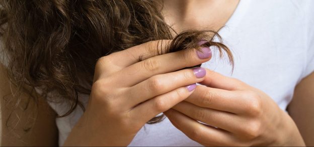 closeup woman hand holding hair split ends purple nail polish malabsorption and hair loss viviscal hair blog